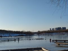 -马家湾湿地公园