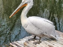 -济南野生动物世界