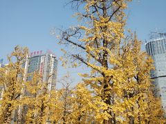 -两江幸福广场