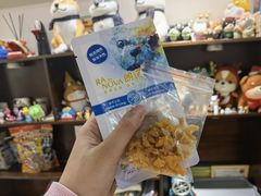 -逗柴咖啡屋·狗咖猫咖宠物桌游