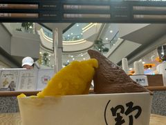 -野人先生Gelato(上海长宁龙之梦店)