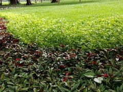 -云溪植物园
