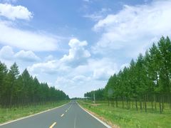 -塞罕坝国家级自然保护区