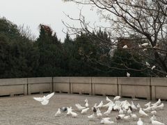 -雨花台烈士纪念馆