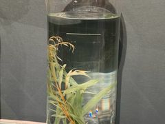 -中国湿地博物馆