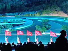 -鼎盛王朝康熙大典实景演出