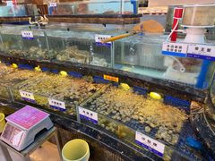 -欢乐海岸美食联盟