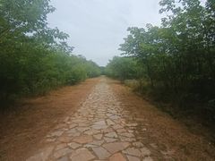 -秦始皇帝陵博物院-丽山园