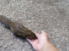 -三清山希尔顿度假酒店