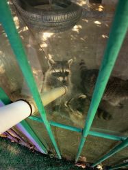 -萌宠亲子动物乐园(槐房万达店)