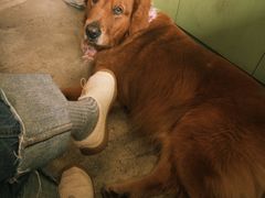 -六区宿舍咖啡店