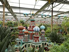 -南宫五洲植物乐园