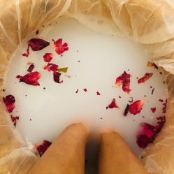 -奥斯芬欧系贵族SPA