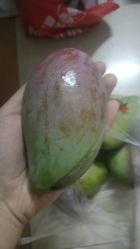 -Fanni美甲美睫皮肤管理