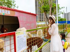 -恒大世纪梦幻城