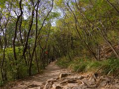 -灵岩山风景区