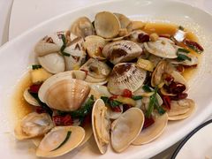 葱油南沙贝-金海湾海鲜排档(朱家尖店)