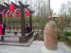 -合肥滨湖国家森林公园