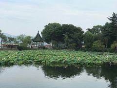 -无锡蠡湖国家湿地公园-蠡园