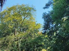 -终南山南五台景区