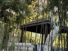 -春晖园度假酒店温泉