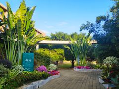 -厦门国家会计学院