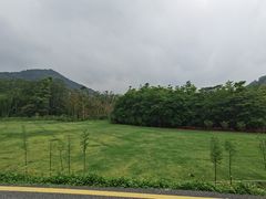 -黄埔油麻山森林公园