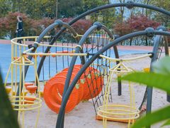 -铁山坪森林公园