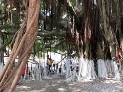 -胡里山炮台