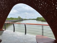 -东寨港红树林旅游区