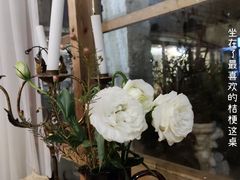 -Jo's Garden