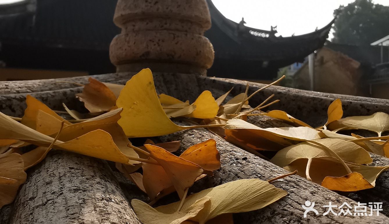 吃红萝卜的时候完全没有草味