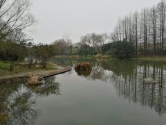 -新江湾城公园