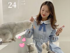 -怪兽屋·羊驼·猫咖·狗咖(俊华广场店)