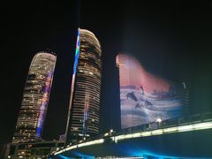 -演武大桥观景平台