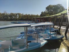 -昆山城市生态森林公园