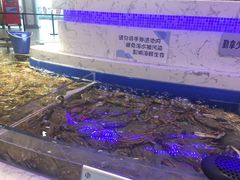 水产区-澜悦港海鲜体验主题餐厅