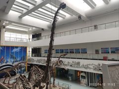 -中国地质大学逸夫博物馆