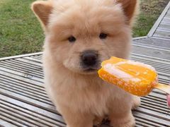 -袁记串串香(新南门店)