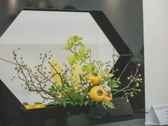 -上海滨江森林公园