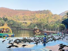 -西双版纳原始森林公园