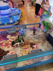 -卡通尼·Safari非洲探索乐园·生日会(金桥国际商业广场店)