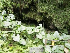 -海口火山口国家地质公园