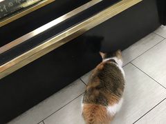 -樊记腊汁肉(竹笆市总店)