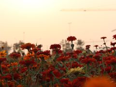 -映月湖中央公园