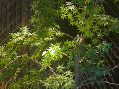 -见康道莱•足浴按摩•艾灸•SPA(友谊店)