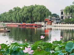 -同和居(什刹海店)