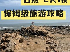 -巧克力渔家.小船海鲜胶东菜(万平口店)