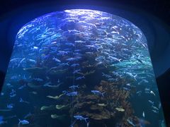 -多彩贵州城极地海洋世界