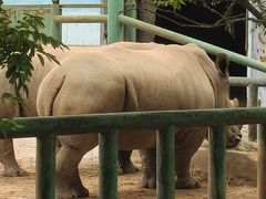 -秦皇岛野生动物园